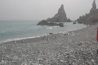 
DSC00207
